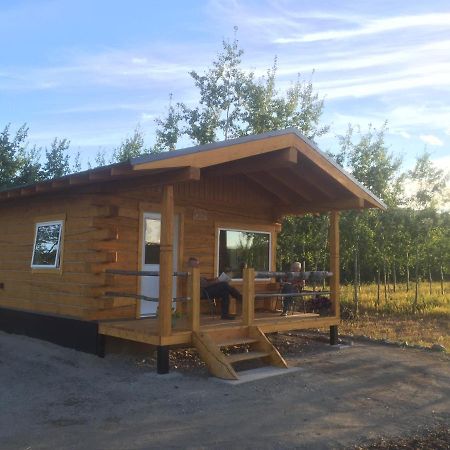 Vila Oma'S And Opa'S Northern Lights Viewing Cabin Whitehorse Exteriér fotografie