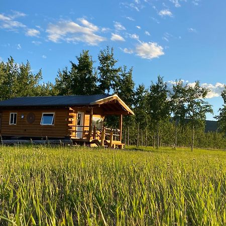 Vila Oma'S And Opa'S Northern Lights Viewing Cabin Whitehorse Exteriér fotografie