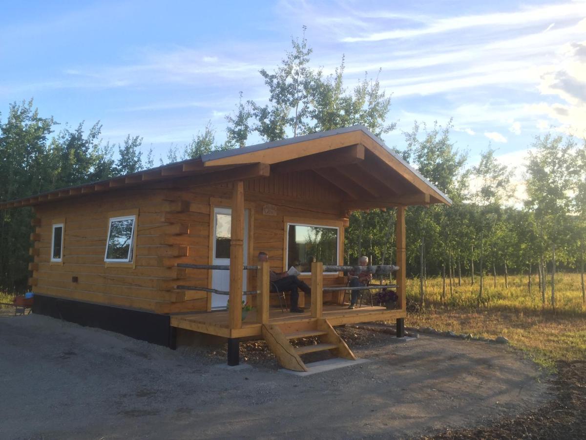 Vila Oma'S And Opa'S Northern Lights Viewing Cabin Whitehorse Exteriér fotografie