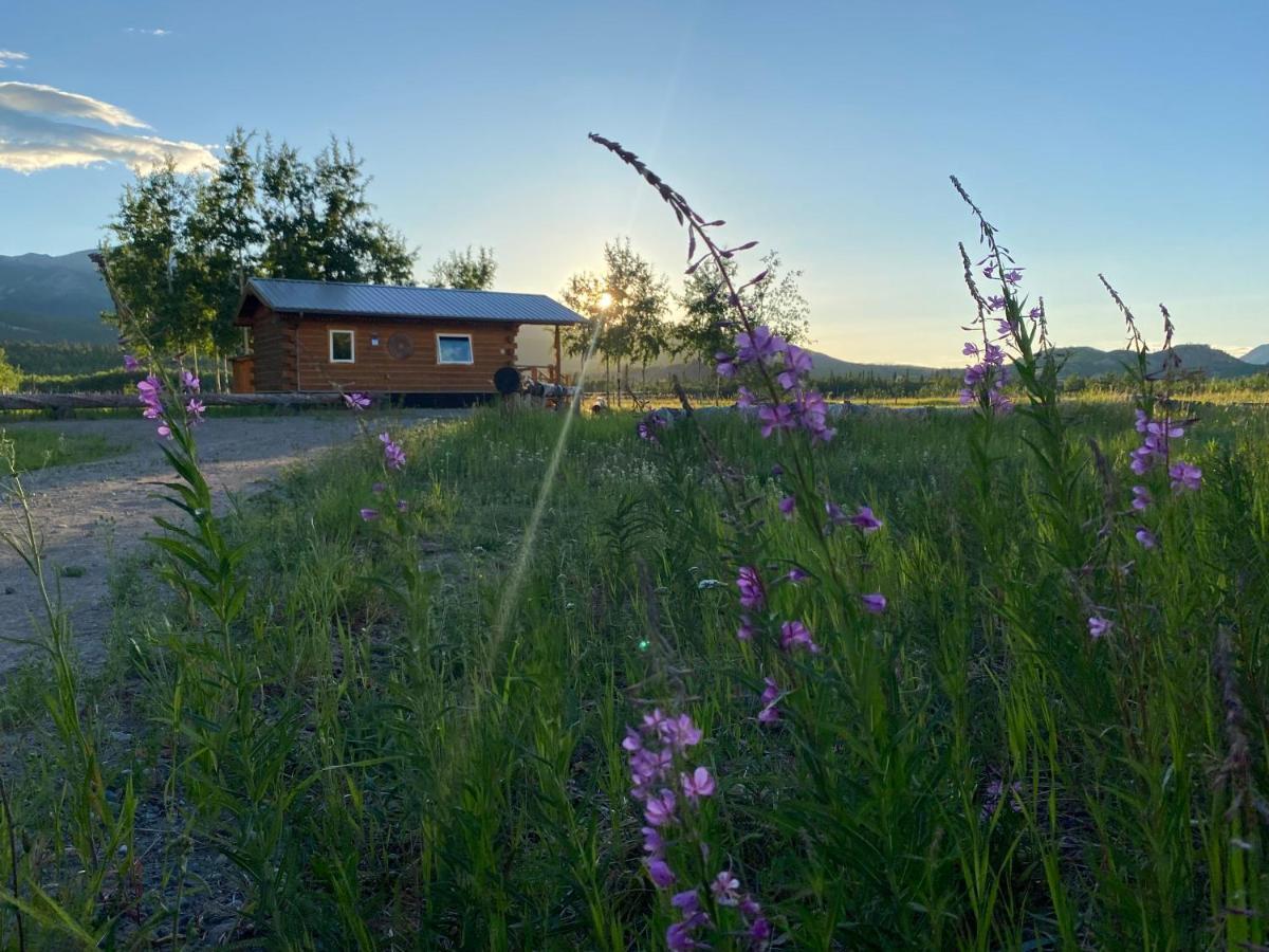 Vila Oma'S And Opa'S Northern Lights Viewing Cabin Whitehorse Exteriér fotografie