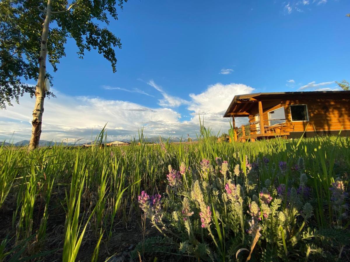 Vila Oma'S And Opa'S Northern Lights Viewing Cabin Whitehorse Exteriér fotografie