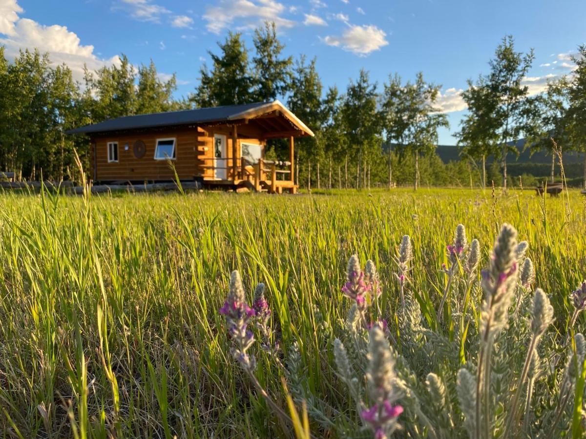 Vila Oma'S And Opa'S Northern Lights Viewing Cabin Whitehorse Exteriér fotografie