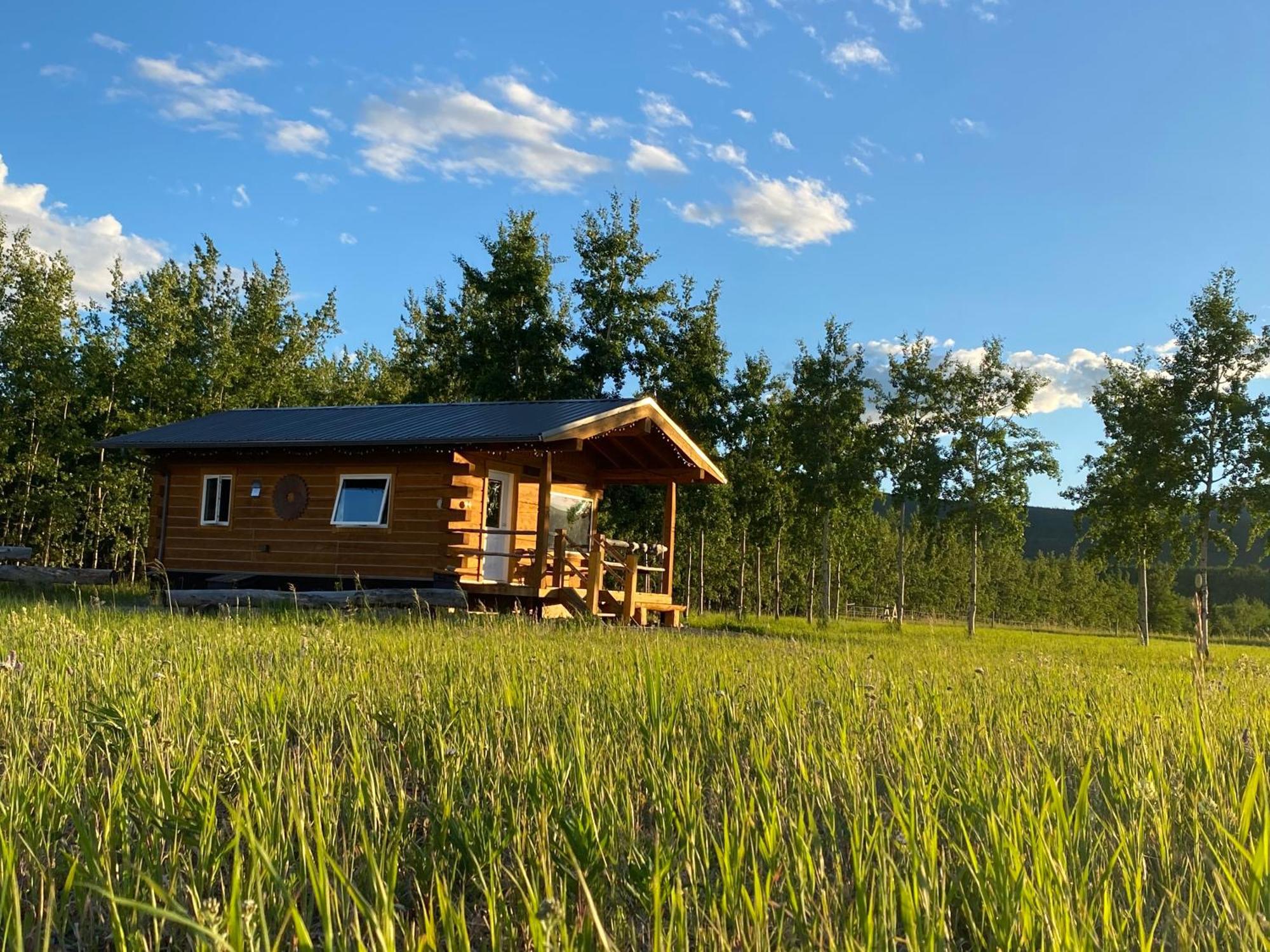 Vila Oma'S And Opa'S Northern Lights Viewing Cabin Whitehorse Exteriér fotografie